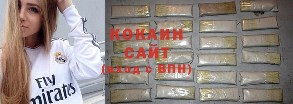 МДПВ Рославль