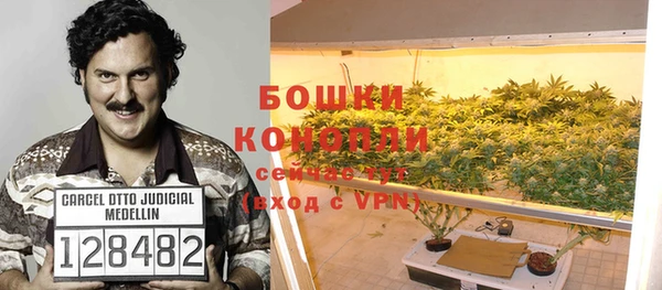 МДПВ Рославль