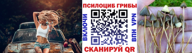 Псилоцибиновые грибы мухоморы  Купить где  Алдан